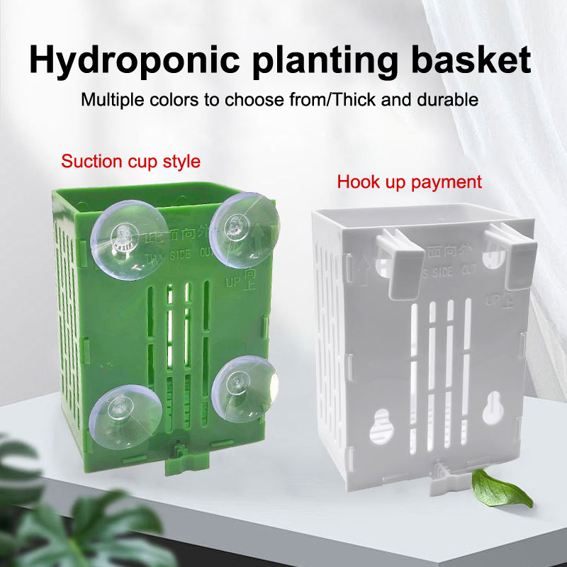 Aquarium Plant Holder - Gancho de ventosa colgante, soporte para