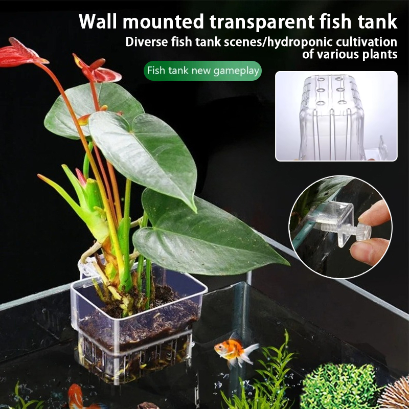 Aquarium Plant Holder - Macetas Colgantes para Acuario, Soporte de