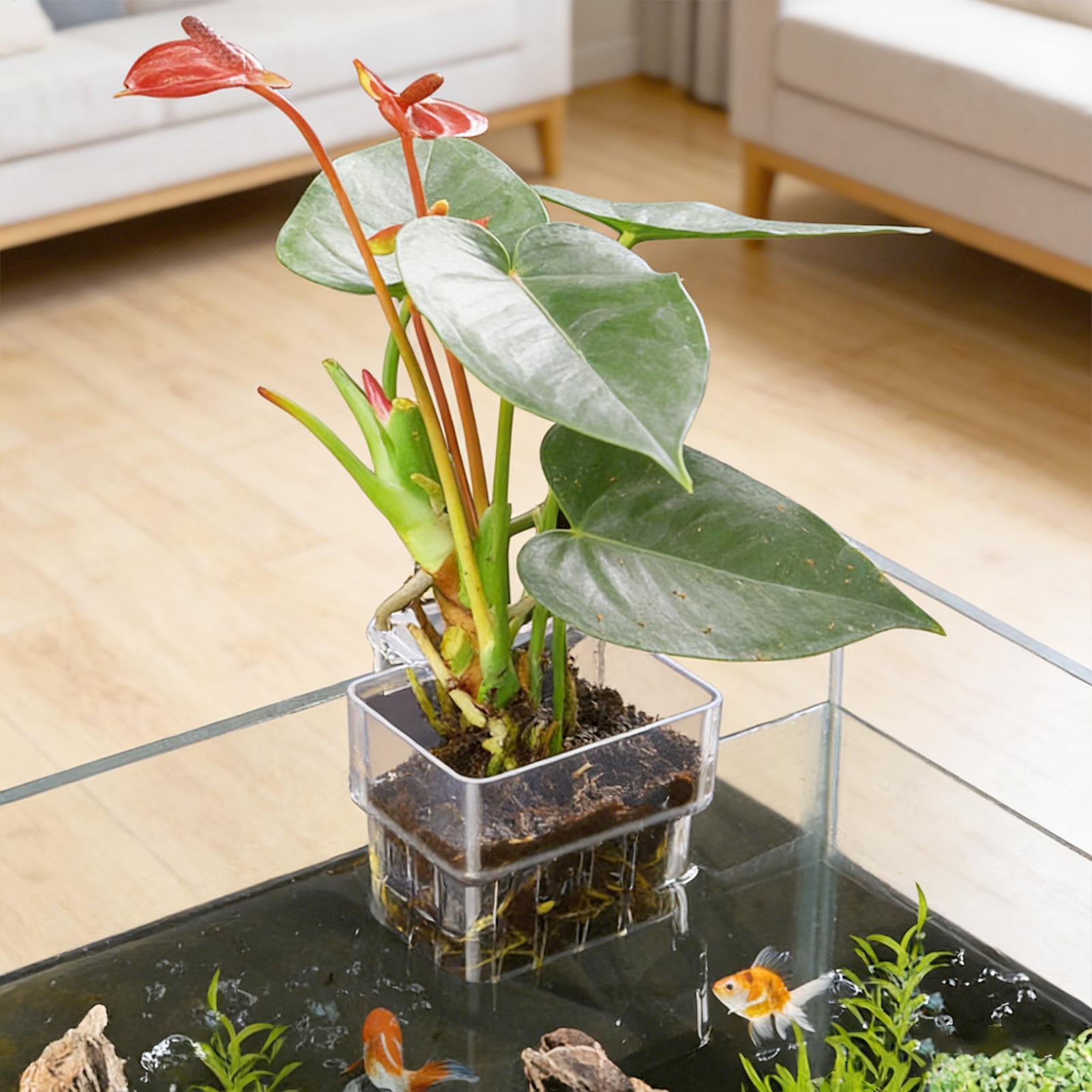 Aquarium Plant Holder - Cesta para Plantas de Acuario, Decoración