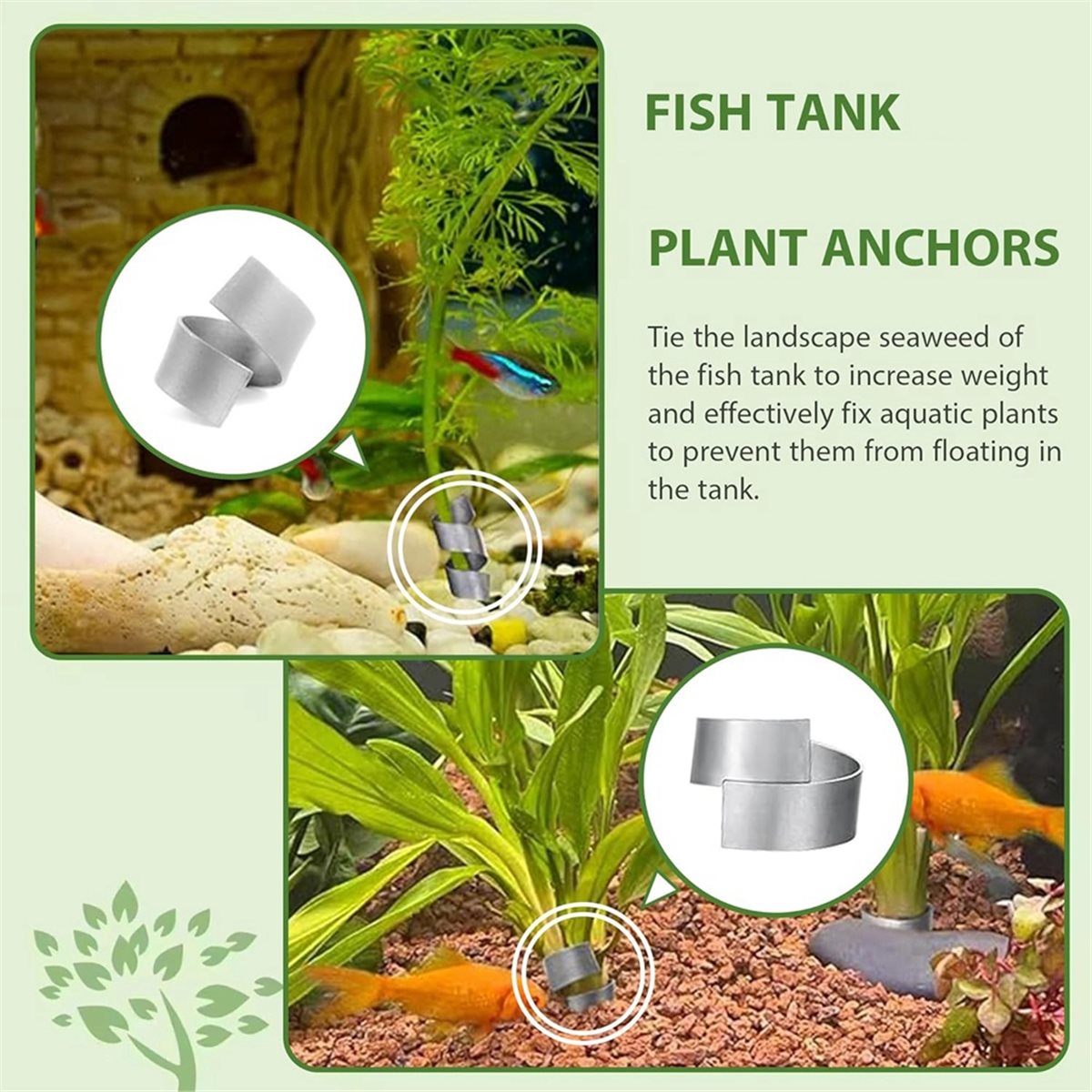 Live Plant Aquarium - Pesas para Plantas de Acuario que