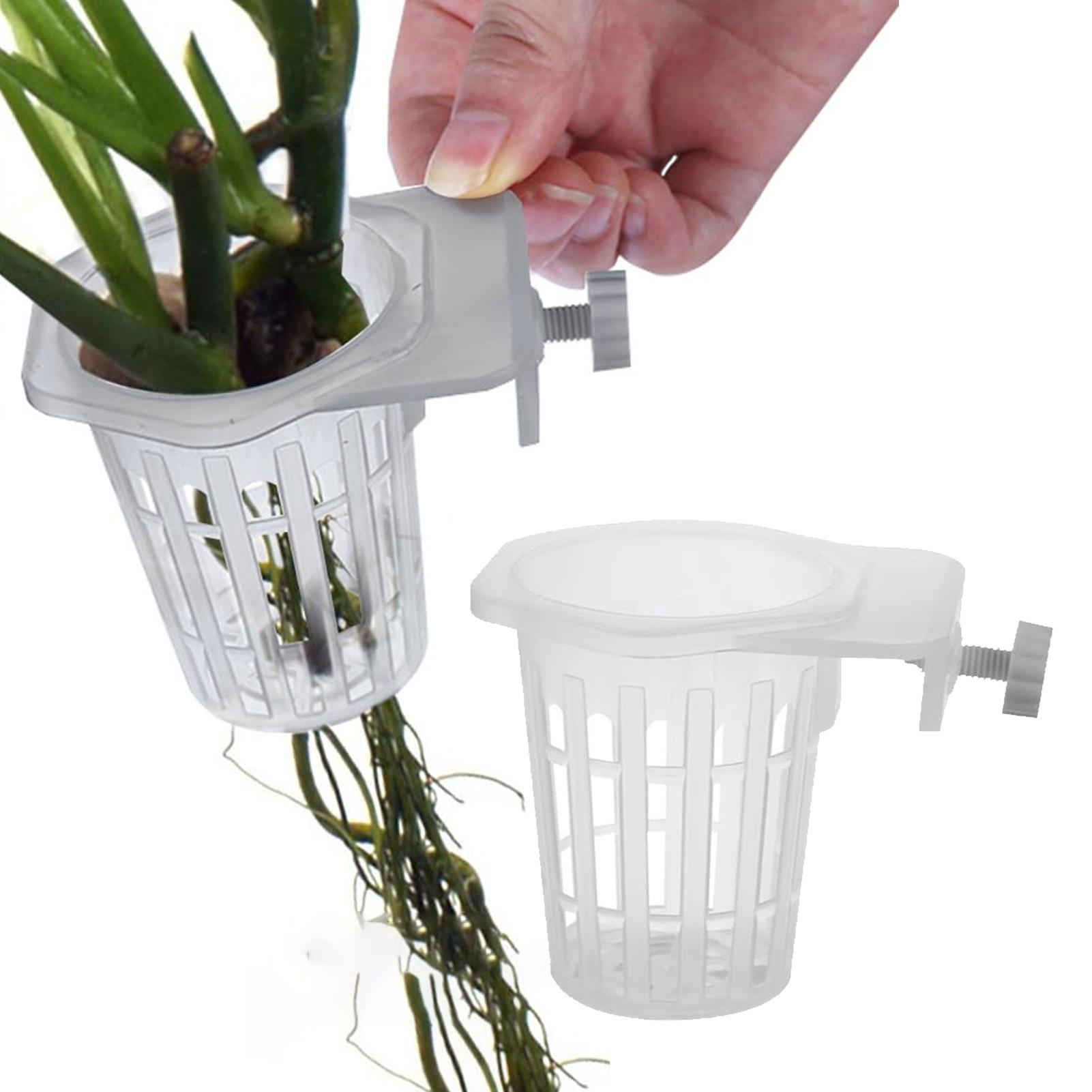 Aquarium Plant Holder - 2 unidades de soporte para plantas