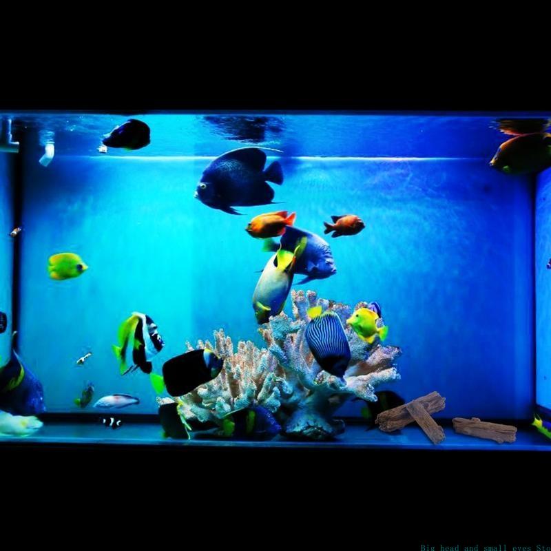 Decoración acuario, tronco árb - Aquarium Plant Substrate reseña y precio