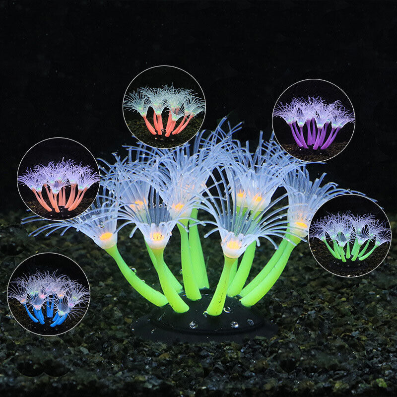 Decoración Subacuática para Ac - Live Plant Aquarium reseña y precio