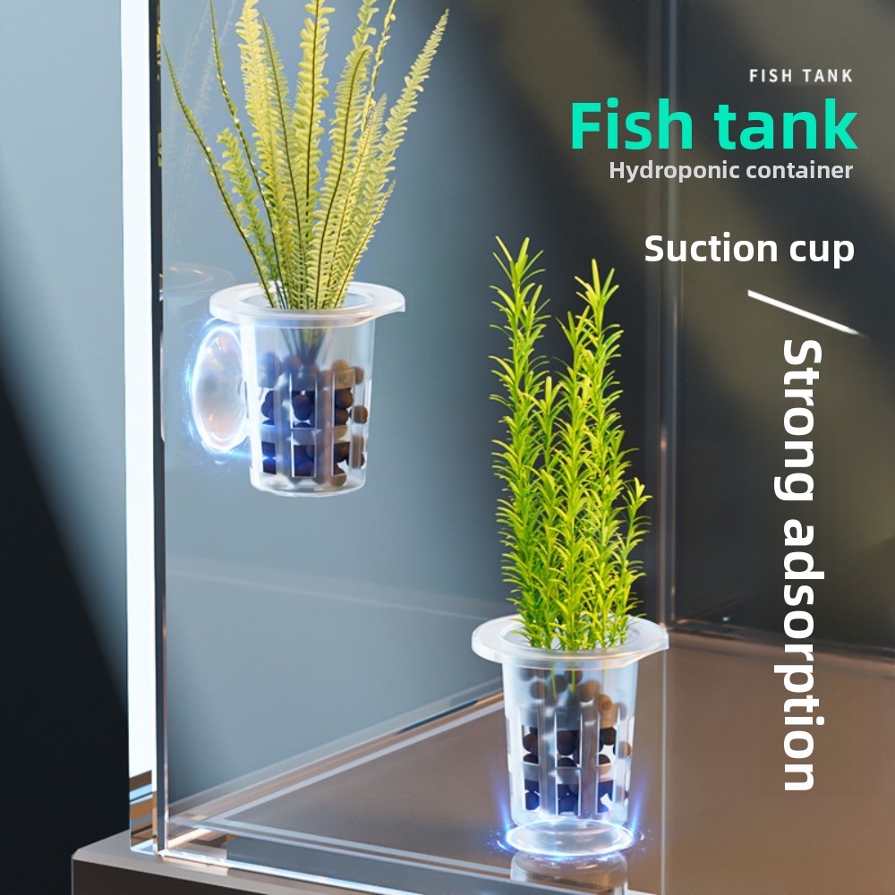 10 Macetas Transparentes para  - Aquarium Plant Holder reseña y precio