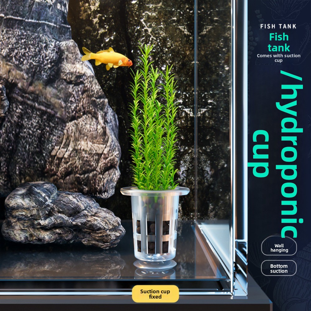 10 Macetas Transparentes para  - Aquarium Plant Holder reseña y precio