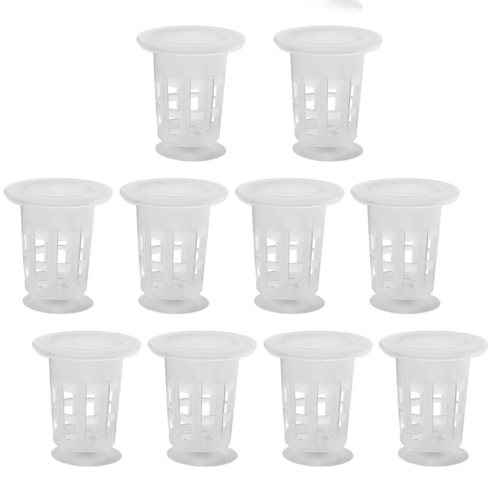 10 Macetas Transparentes para  - Aquarium Plant Holder reseña y precio