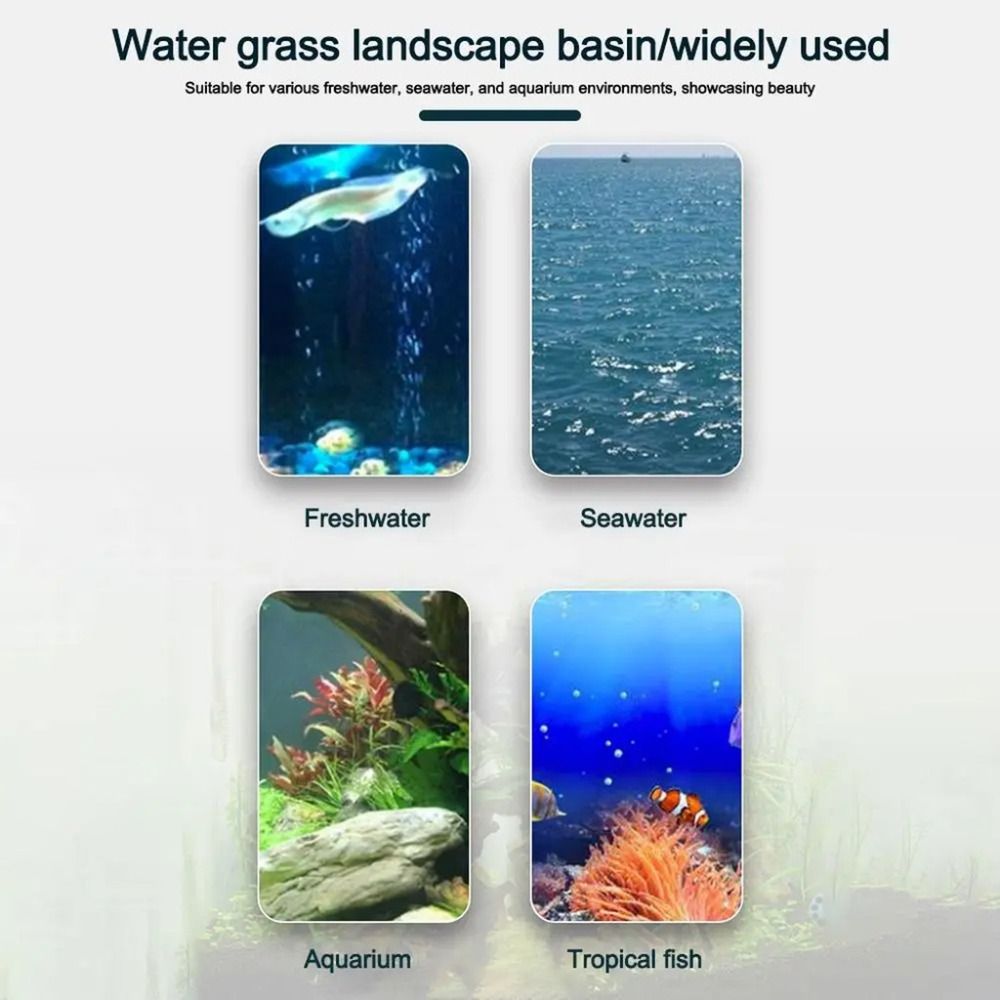 10 Macetas Transparentes para  - Aquarium Plant Holder reseña y precio