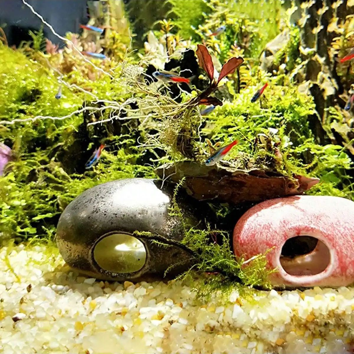 1 unidad-250g de cristales nat - Plant Aquarium Pot reseña y precio