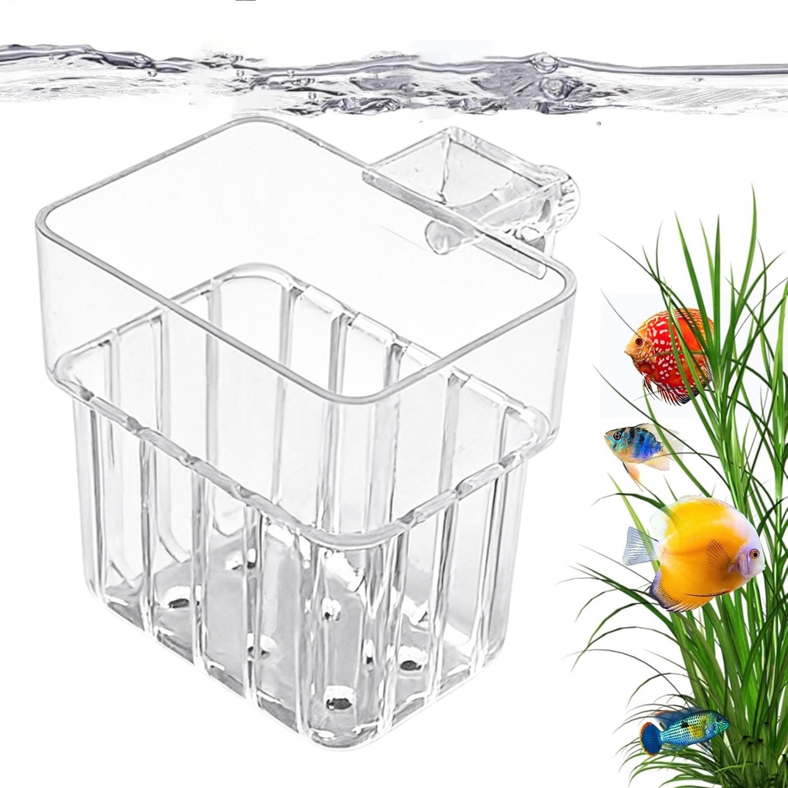 Maceta Transparente Colgante p - Aquarium Plants Live reseña y precio