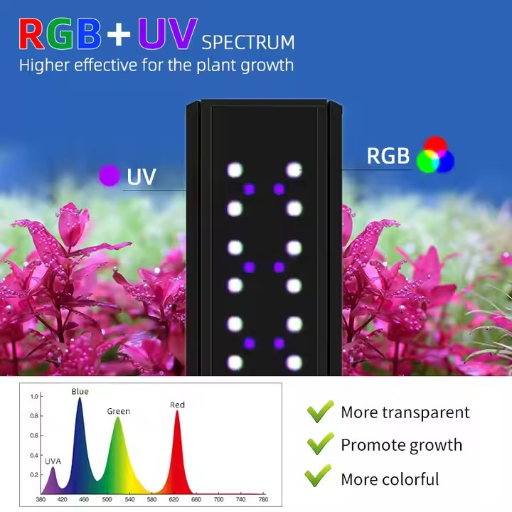 Luces para Acuario WEEK AQUA S - Live Plant Aquarium reseña y precio