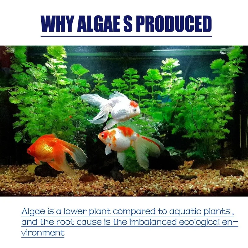Algaecida de Alta Eficiencia d - Aquarium Moss reseña y precio
