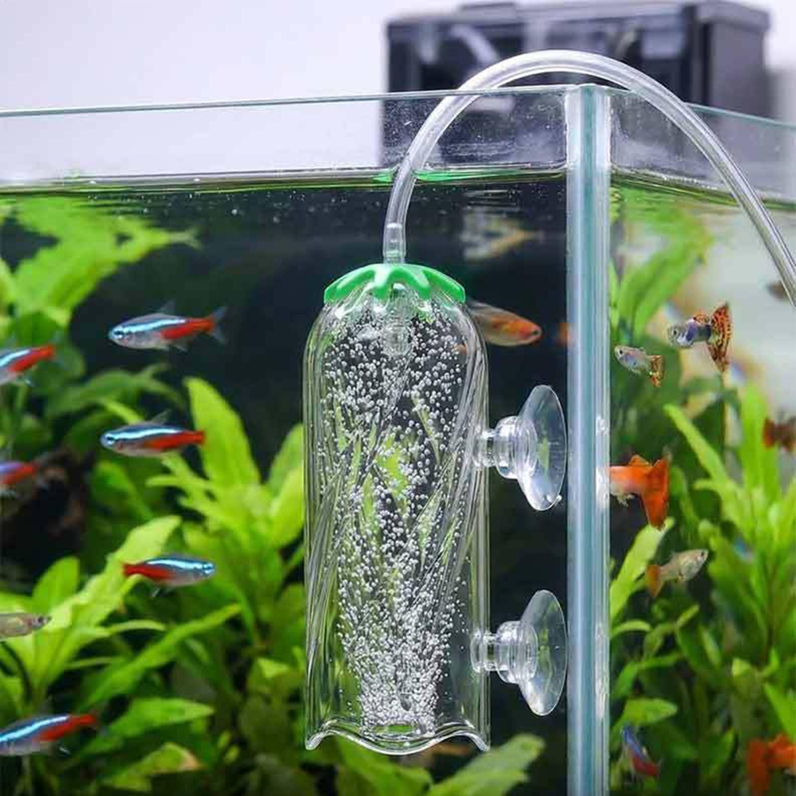 Difusor de oxígeno para acuari - Aquarium Planted Tank Filter reseña y precio