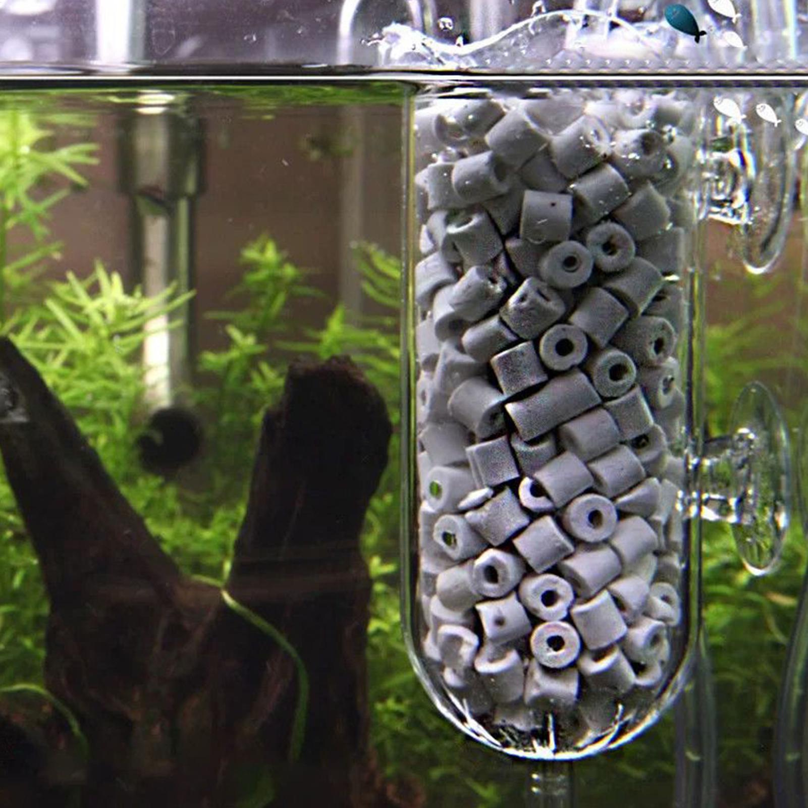 Difusor de oxígeno para acuari - Aquarium Planted Tank Filter reseña y precio