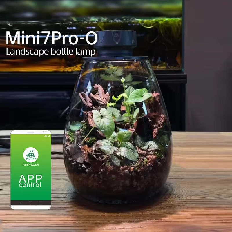 Luz de relleno de plantas con  - Planted Tank reseña y precio