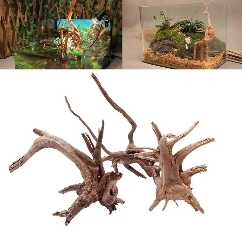 Tronco de árbol Natural de mad - Live Plant Aquarium reseña y precio