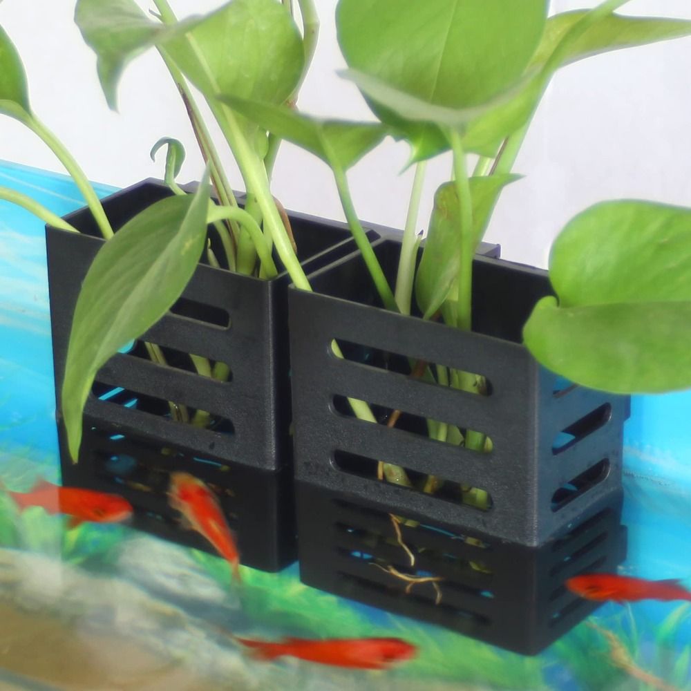 Soporte para plantas de pecera - Aquarium Plant Holder reseña y precio