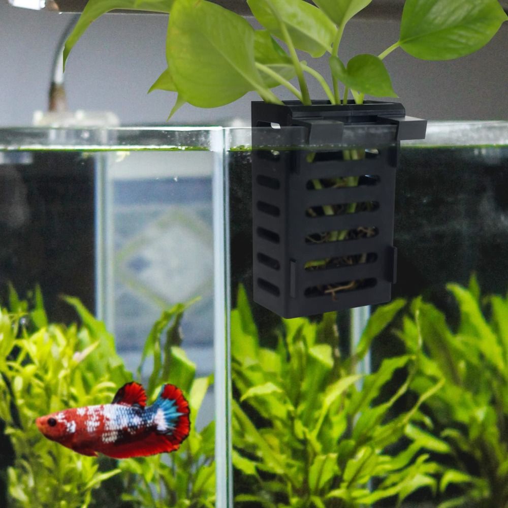 Soporte para plantas de pecera - Aquarium Plant Holder reseña y precio