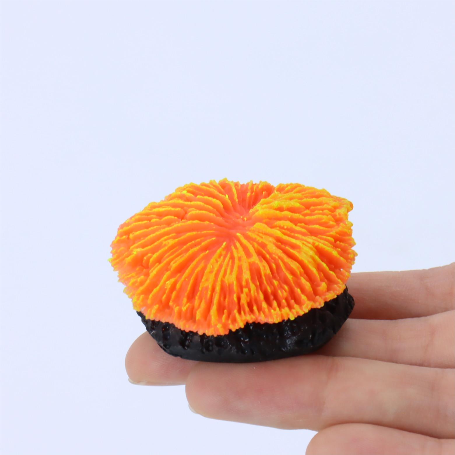 1 pieza de decoración para acu - Live Plant Aquarium reseña y precio