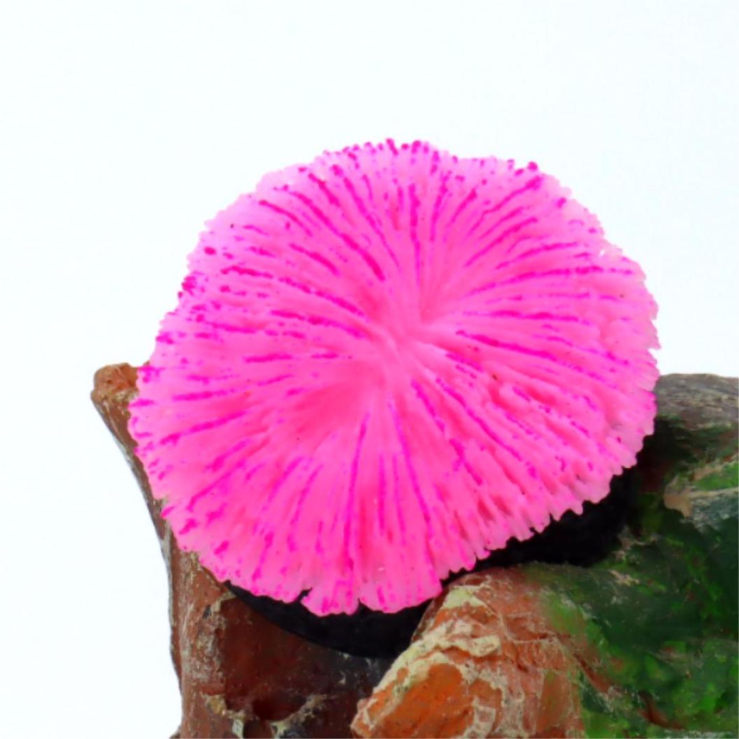 1 pieza de decoración para acu - Live Plant Aquarium reseña y precio