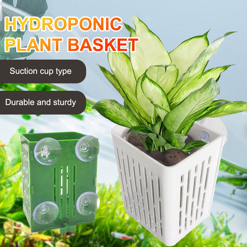 Gancho de ventosa colgante, so - Aquarium Plant Holder reseña y precio