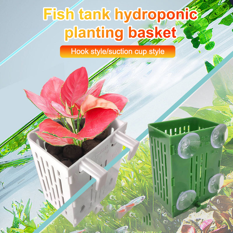 Gancho de ventosa colgante, so - Aquarium Plant Holder reseña y precio