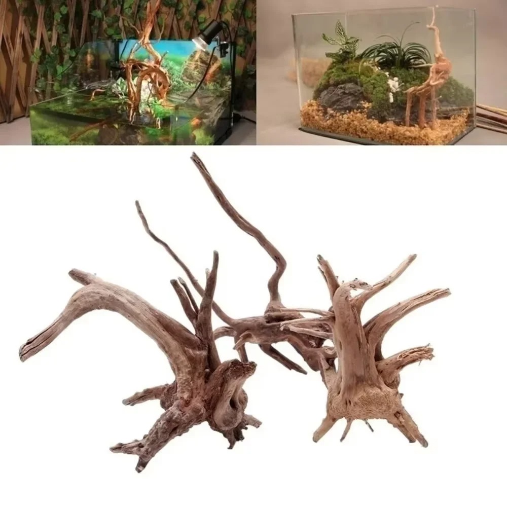 Decoración de Acuario con Made - Aquarium Plant Substrate reseña y precio