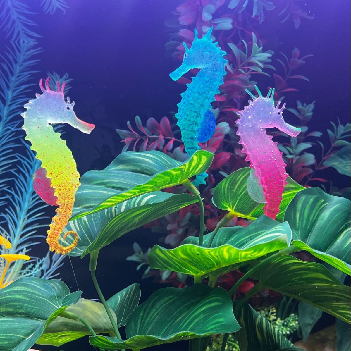 Decoración Luminosa Simulada d - Aquarium Plant Substrate reseña y precio