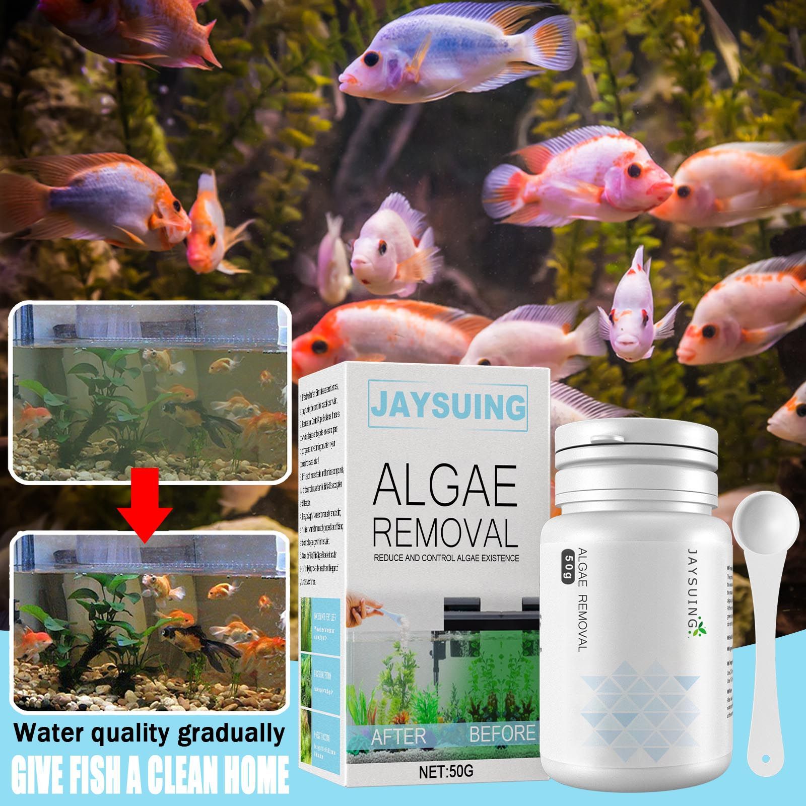 Polvo eliminador de algas para - Aquarium Moss reseña y precio