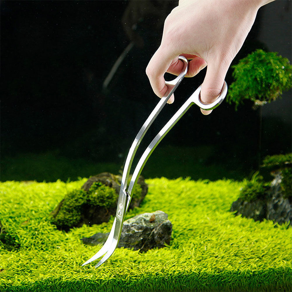 Accesorios para acuario, herra - Planted Aquarium Cleaning reseña y precio