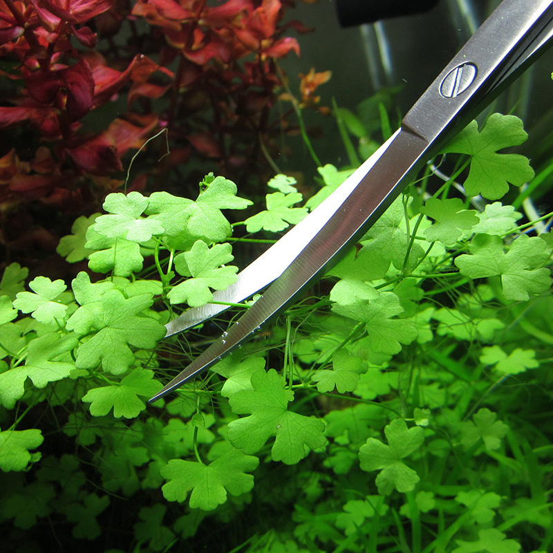 Accesorios para acuario, herra - Planted Aquarium Cleaning reseña y precio
