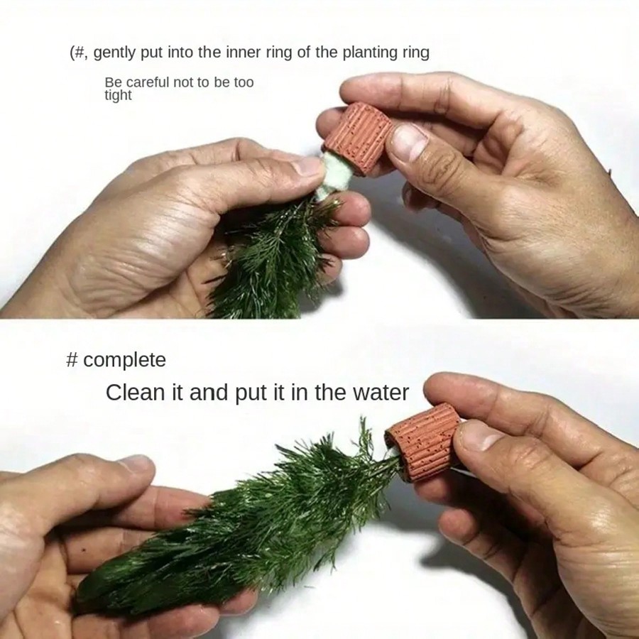 Anillos de fijación de plantas - Aquarium Plants Live reseña y precio
