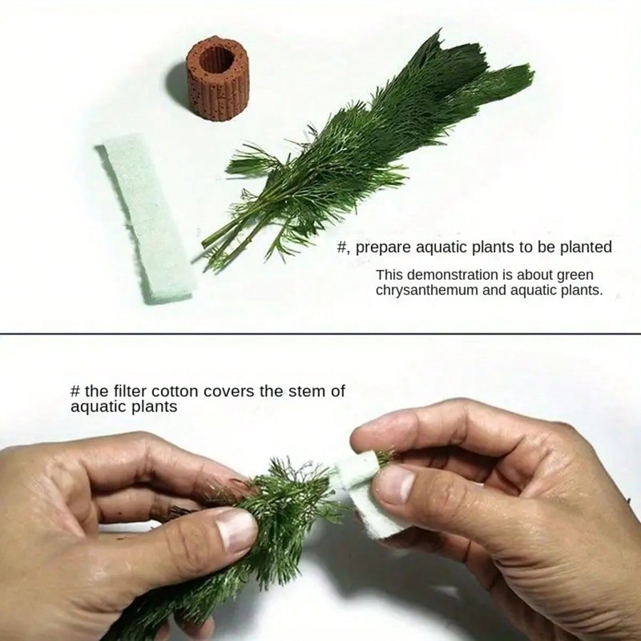 Anillos de fijación de plantas - Aquarium Plants Live reseña y precio