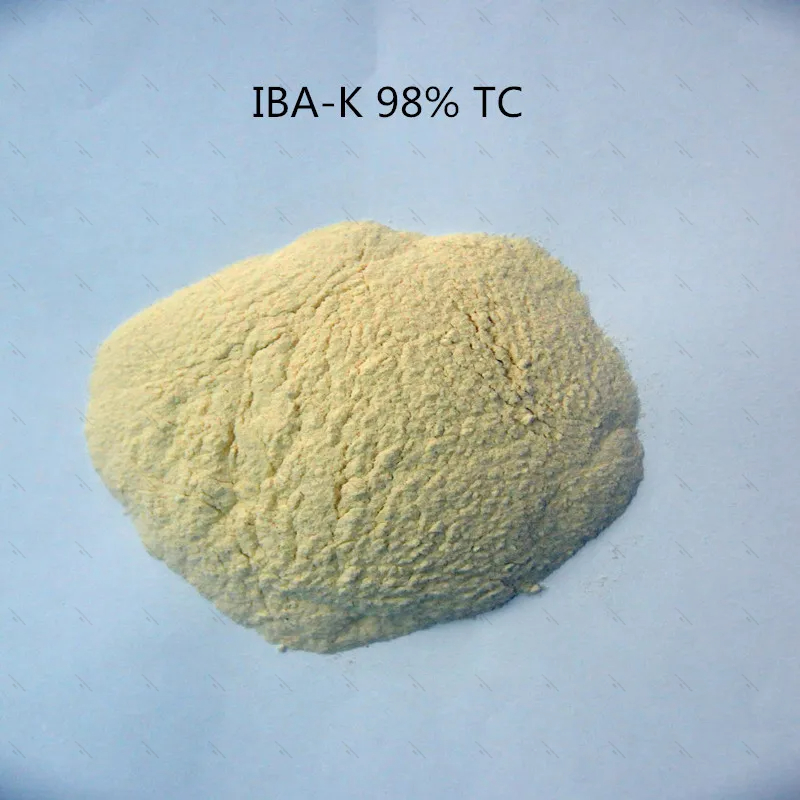 10Gram-1KG 98% IBA-K Soluble e - Aquarium Fertilizer reseña y precio