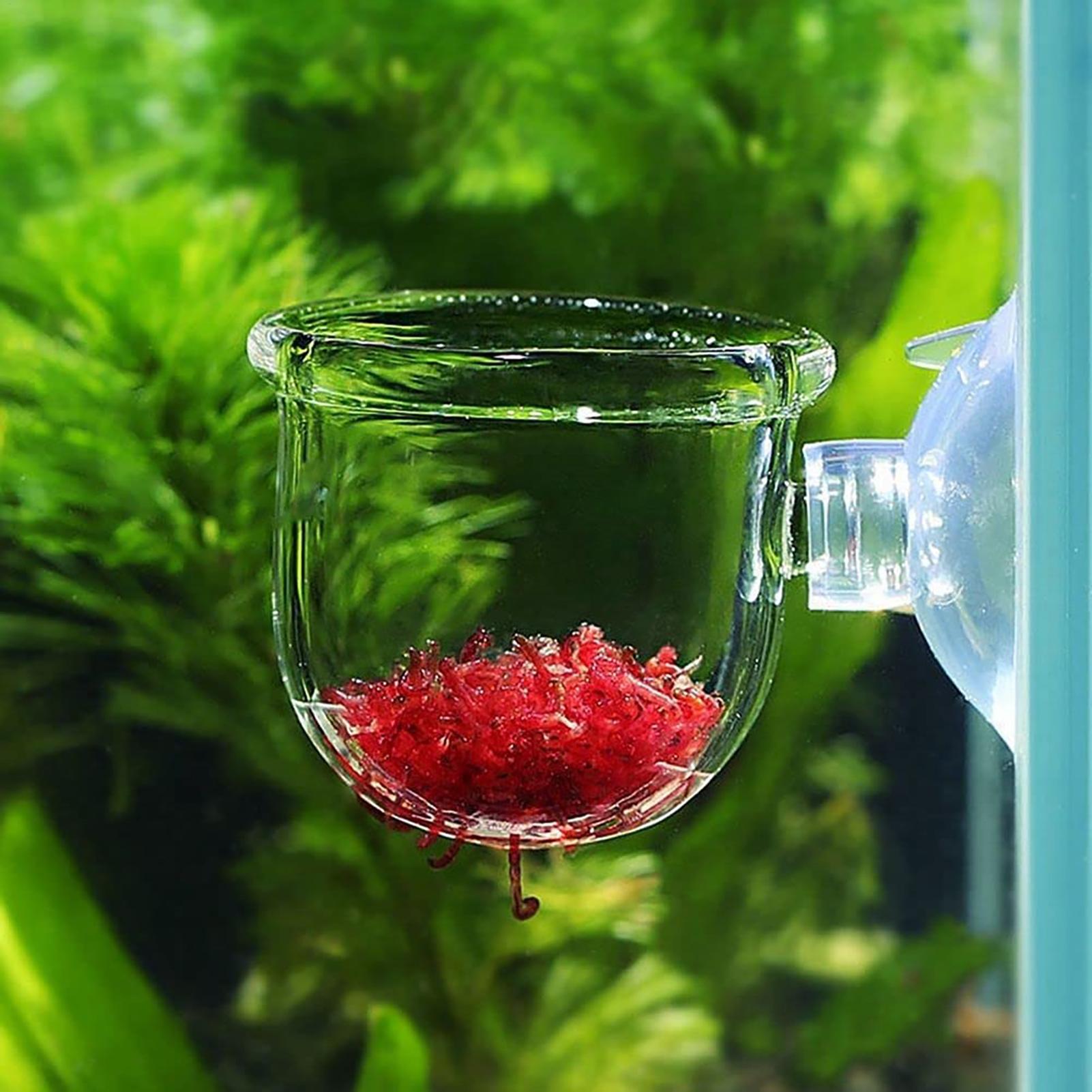 Maceta para plantas de acuario - Plant Aquarium Pot reseña y precio
