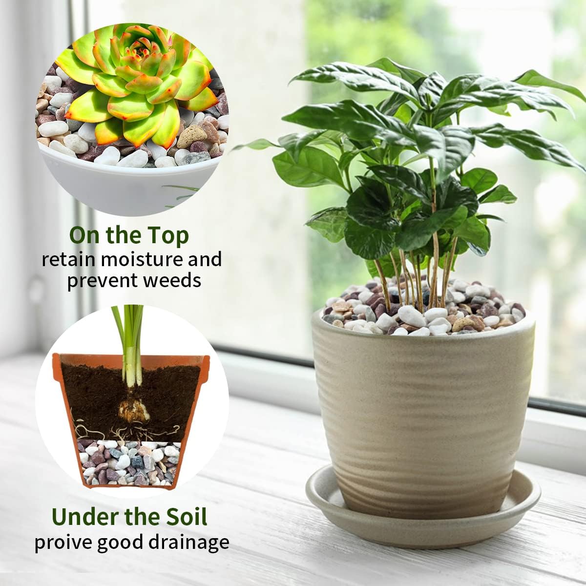 Piedras de Grava de Colores Va - Plant Aquarium Pot reseña y precio