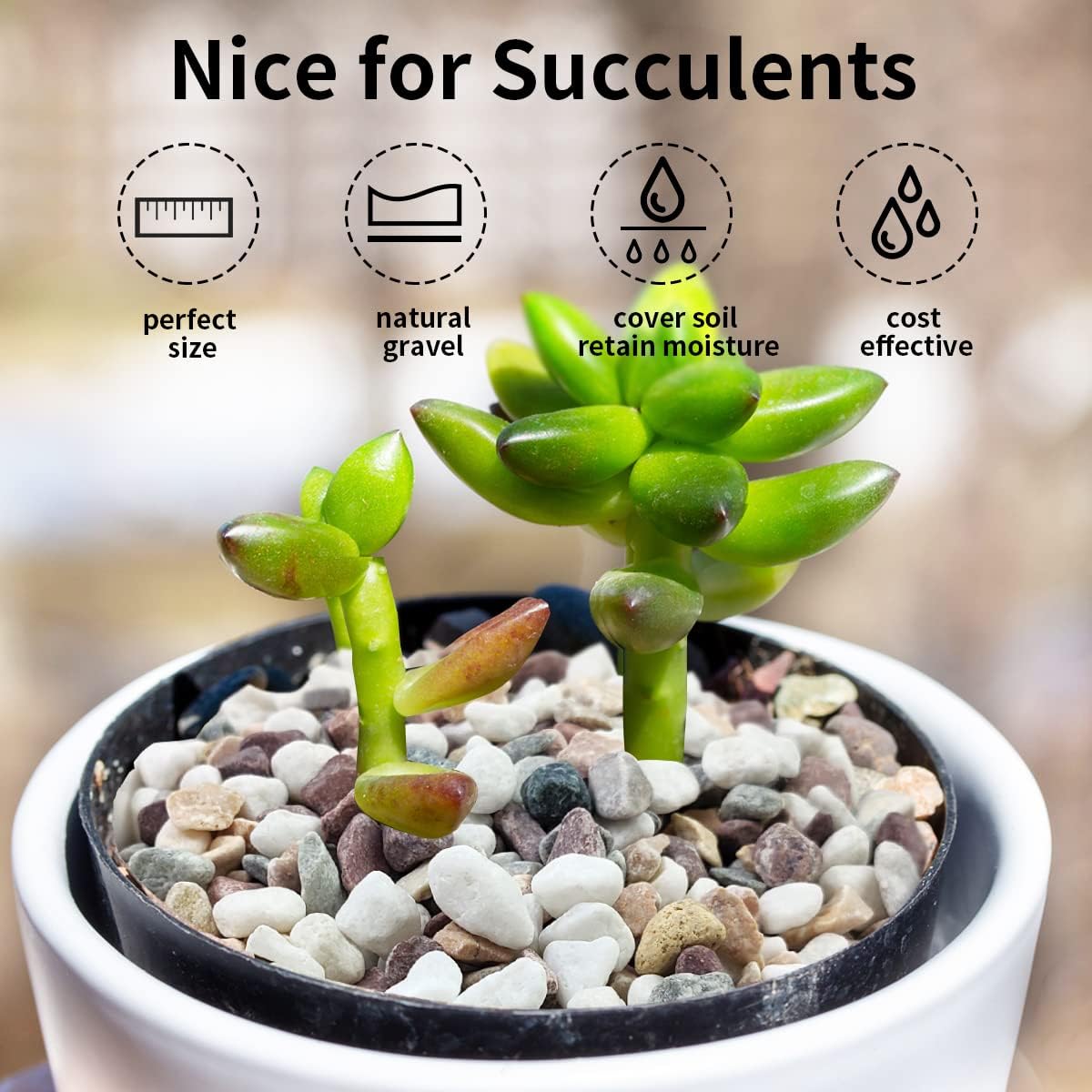Piedras de Grava de Colores Va - Plant Aquarium Pot reseña y precio
