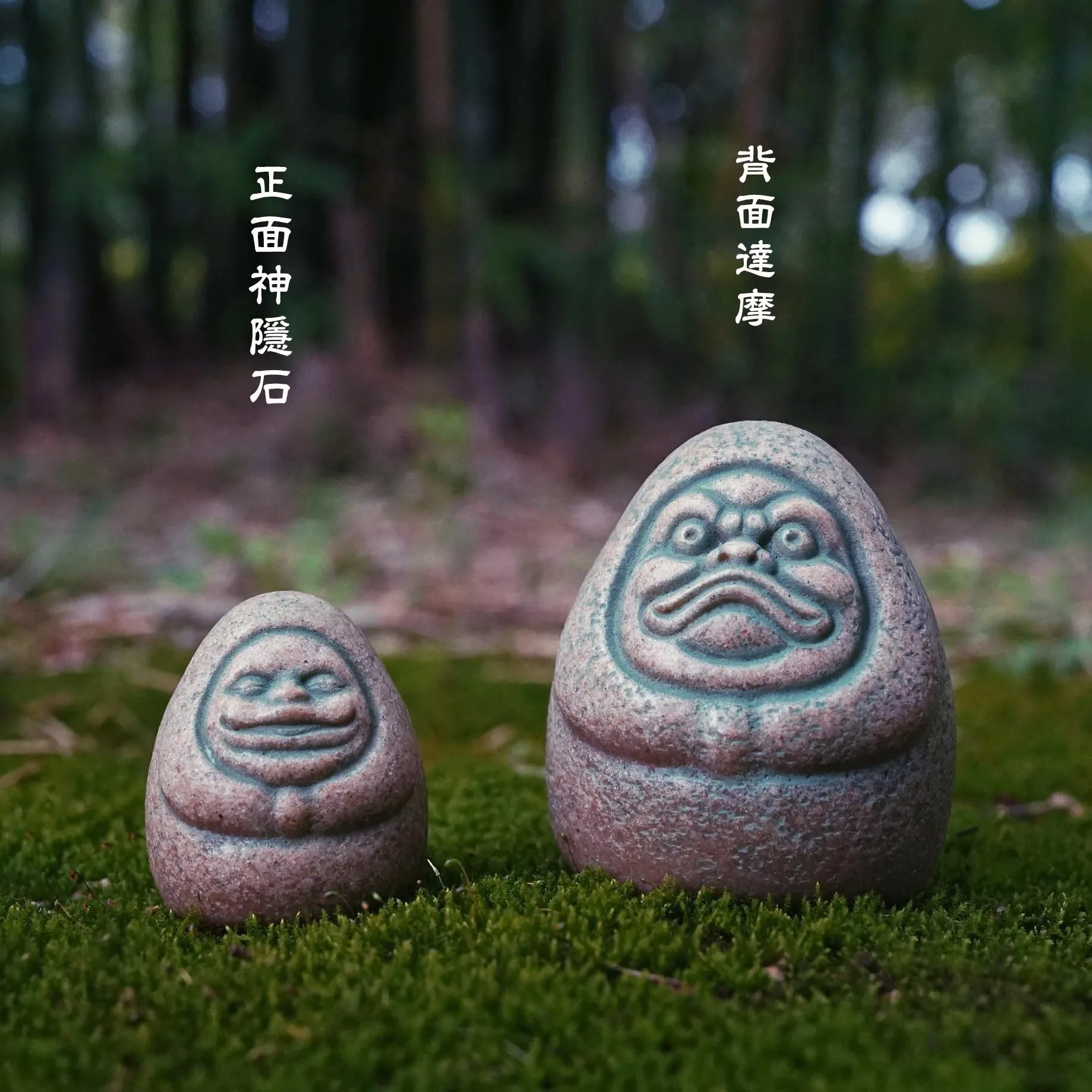 Kaminishi Hide Dharma Piezas d - Aquarium Moss reseña y precio