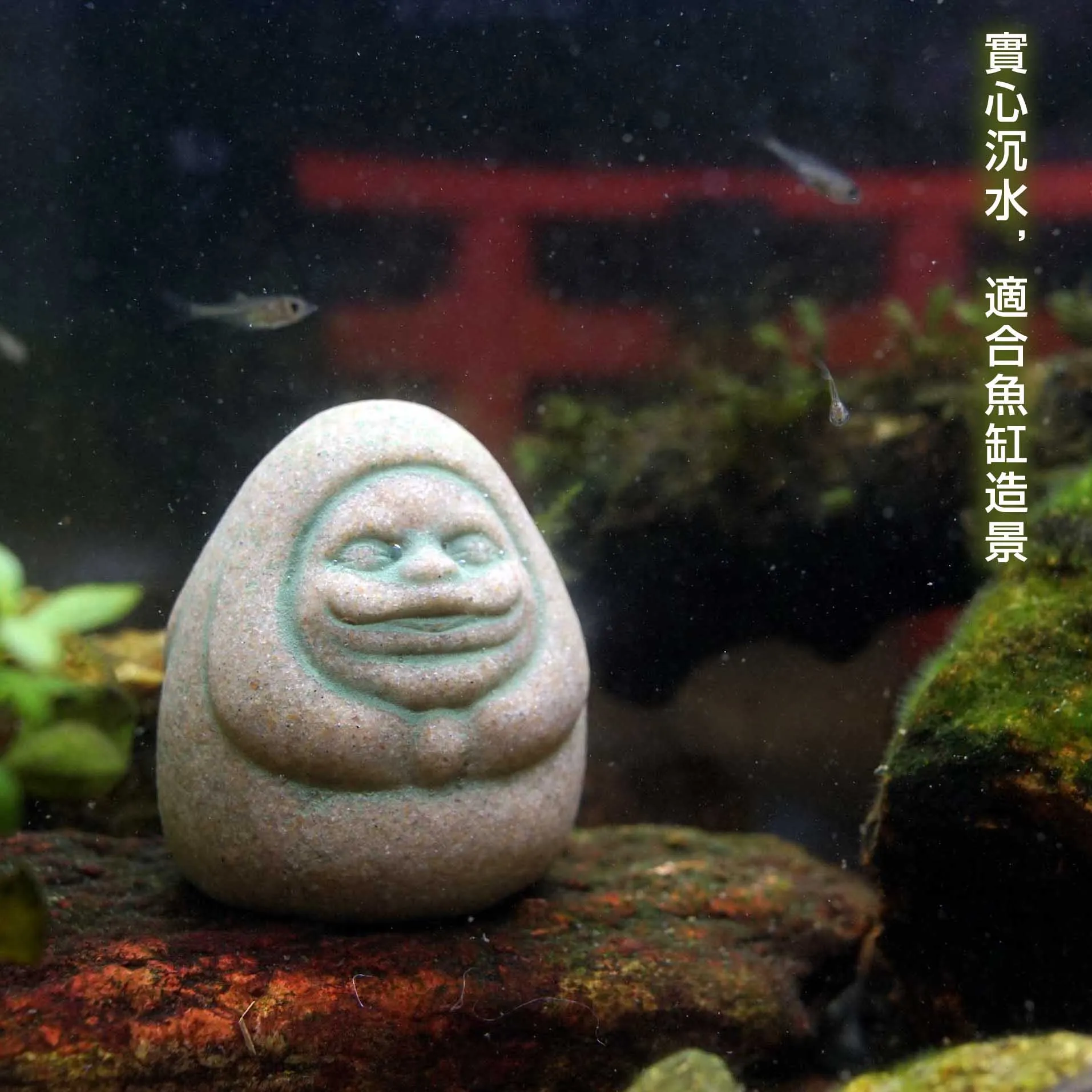 Kaminishi Hide Dharma Piezas d - Aquarium Moss reseña y precio