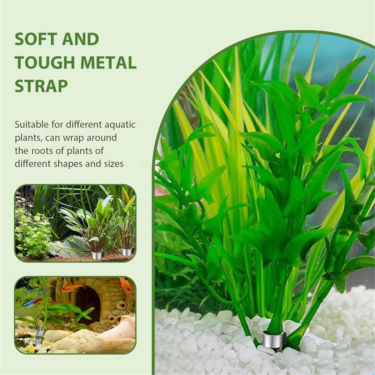 Pesas para Plantas de Acuario  - Live Plant Aquarium reseña y precio