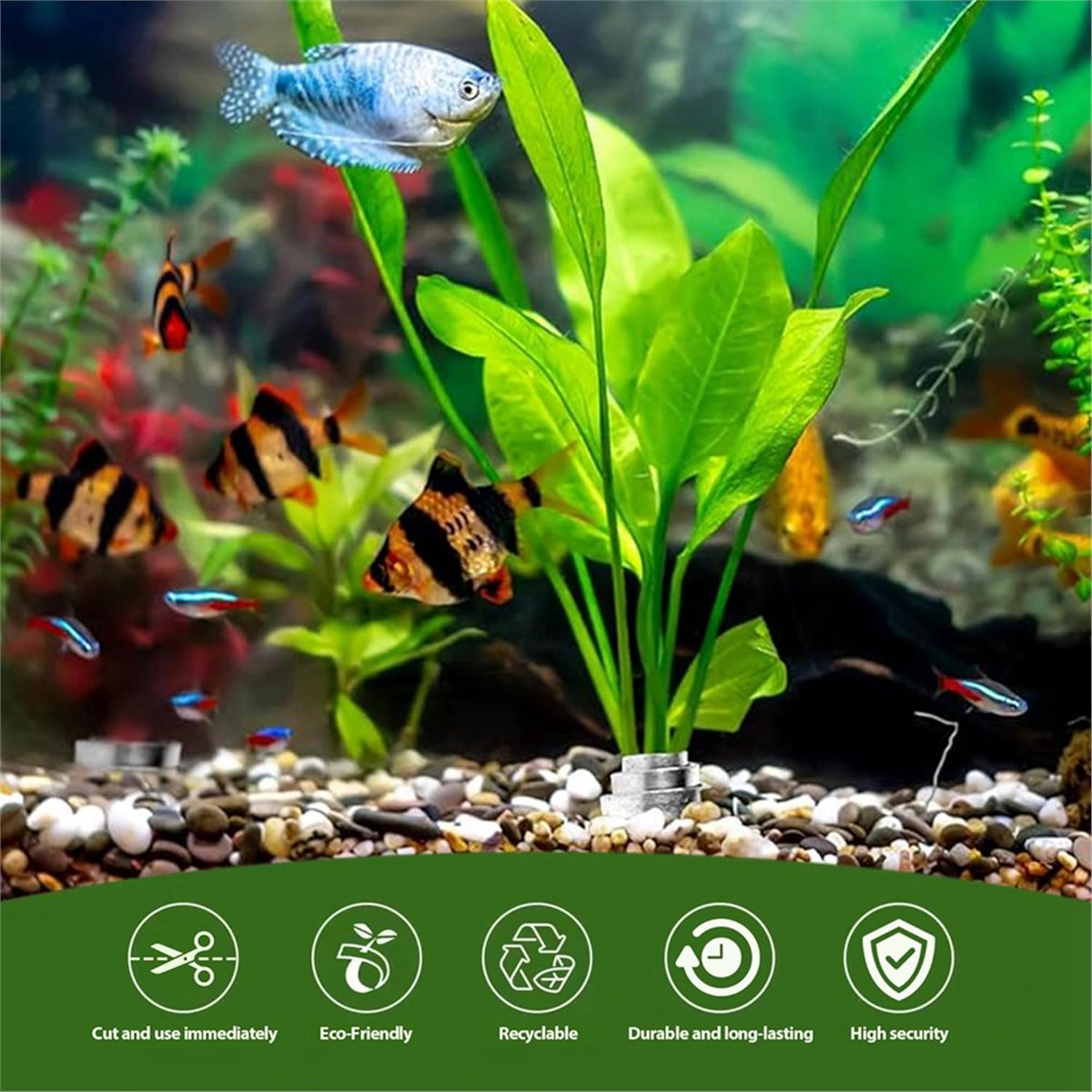 Pesas para Plantas de Acuario  - Live Plant Aquarium reseña y precio