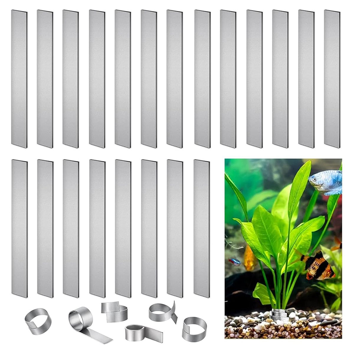 Pesas para Plantas de Acuario  - Live Plant Aquarium reseña y precio