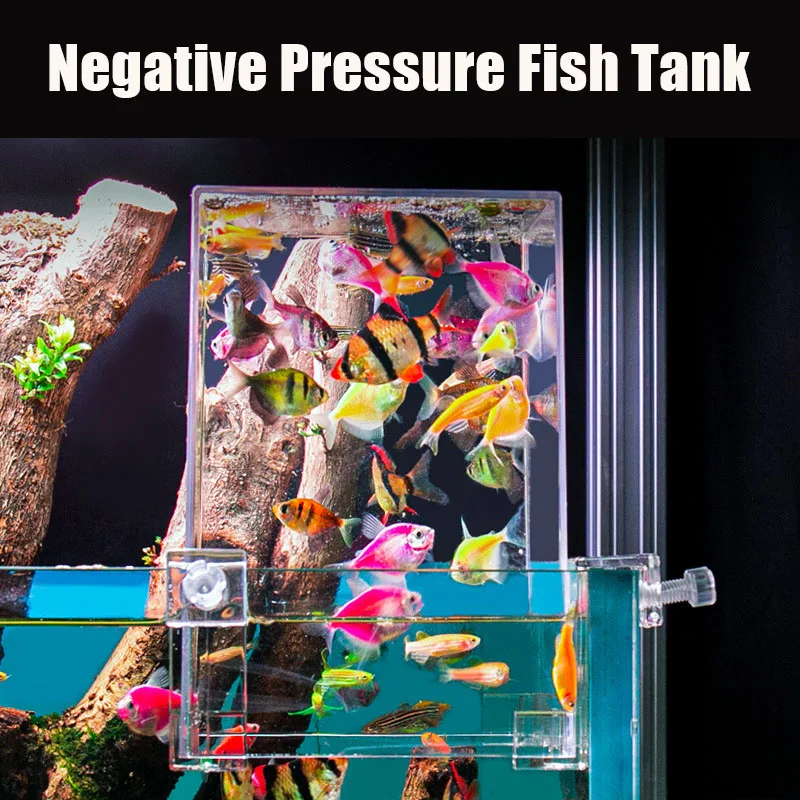 Tanques de acuario creativos,  - Plant Aquarium Pot reseña y precio