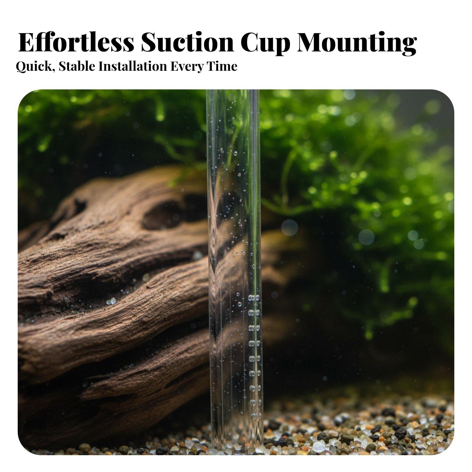 Salida de lirio de vidrio de b - Aquarium Planted Tank Filter reseña y precio