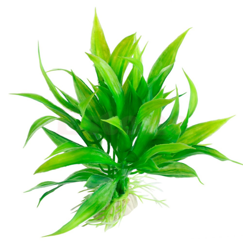 Adornos de plantas acuáticas a - Live Plant Aquarium reseña y precio