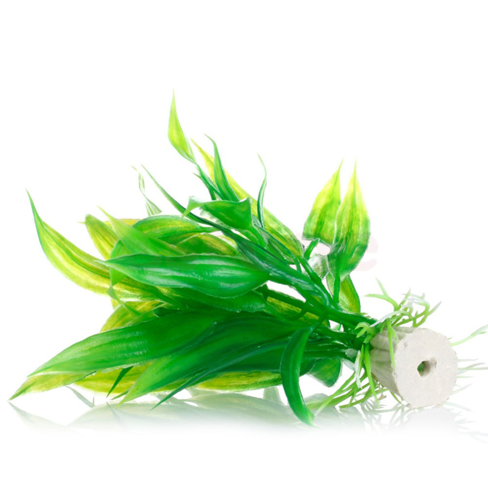 Adornos de plantas acuáticas a - Live Plant Aquarium reseña y precio