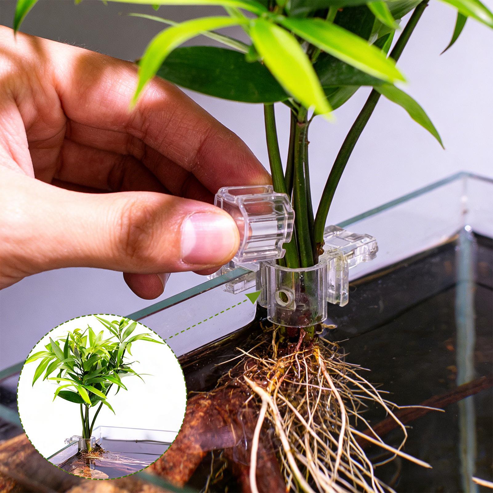 Mini maceta para pecera, 6 uds - Aquarium Fertilizer reseña y precio