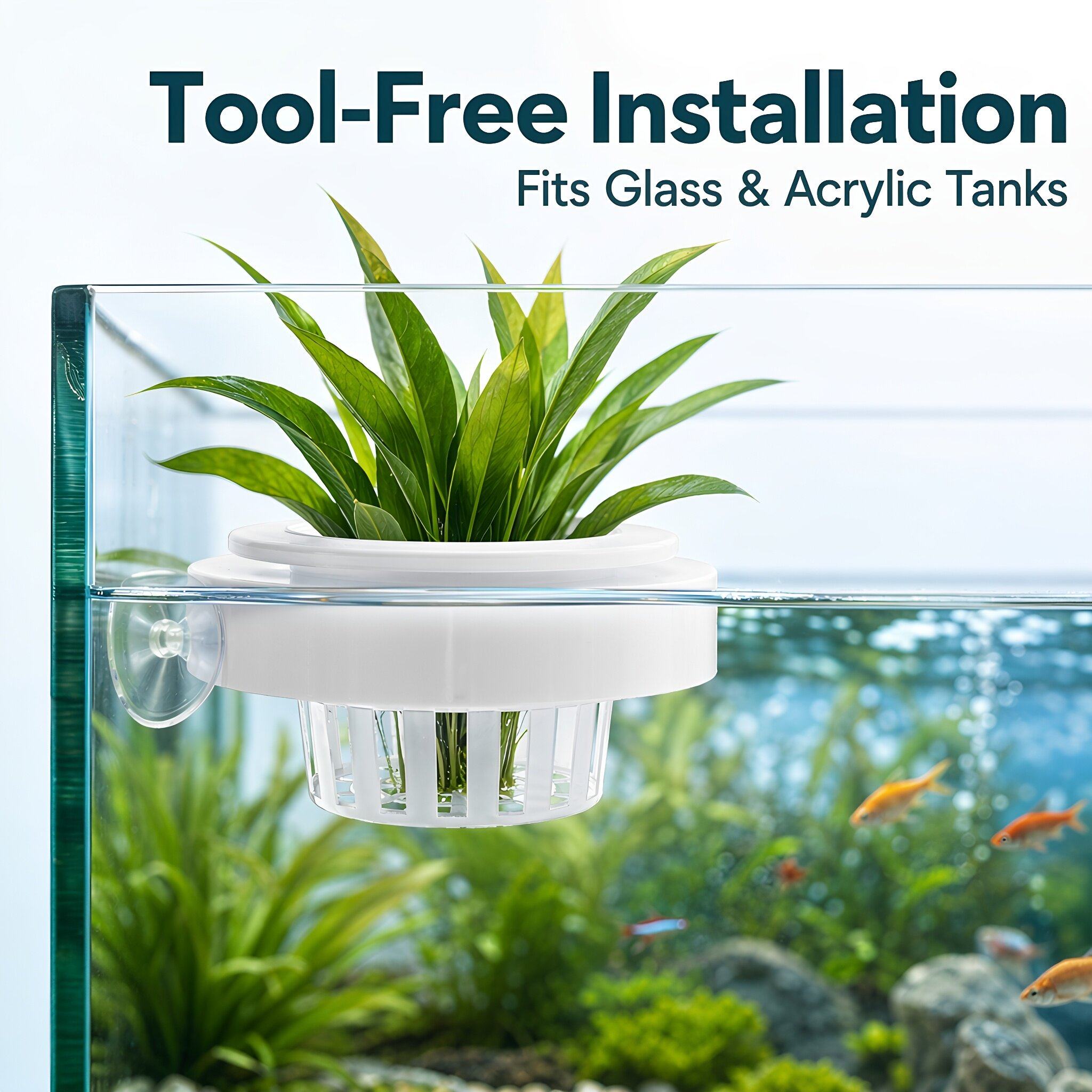 4 unidades de cestas flotantes - Planted Tank reseña y precio