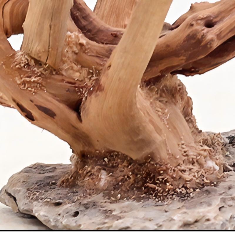 Adornos de madera para paisaji - Aquarium Driftwood reseña y precio