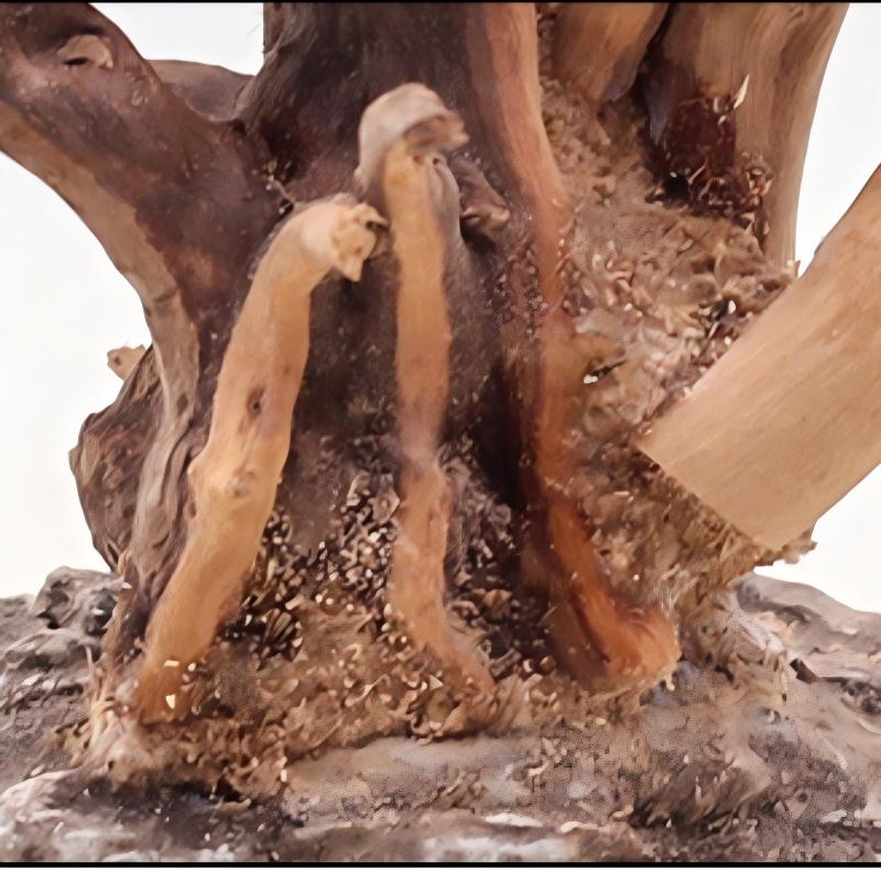 Adornos de madera para paisaji - Aquarium Driftwood reseña y precio