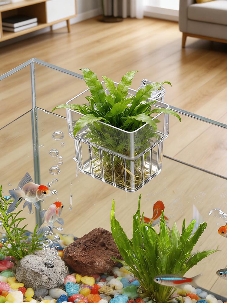 Soporte transparente para plan - Aquarium Plant Holder reseña y precio